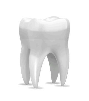 Tooth illustration